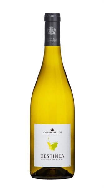 DESTINEA BLANC SAUVIGNON 2020 JOSEPHMELLOT CL 75