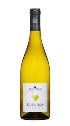DESTINEA BLANC SAUVIGNON 2020 JOSEPHMELLOT CL 75