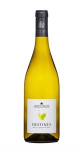 DESTINEA BLANC SAUVIGNON 2020 JOSEPHMELLOT CL 75