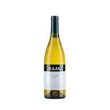 GAJA & REY 2013 MAGNUM